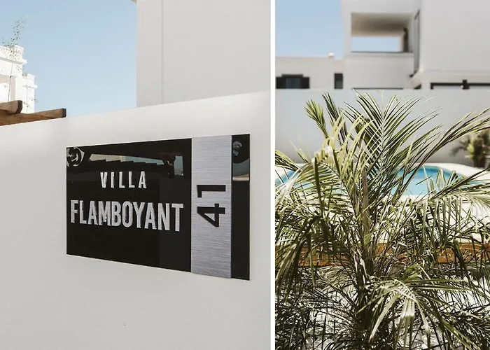 Flamboyan